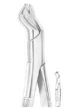 NEVIUS Fig. 88R upper molars right